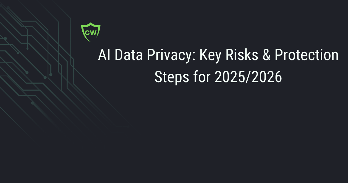 AI Data Privacy Risks: A Guide for Businesses 2025